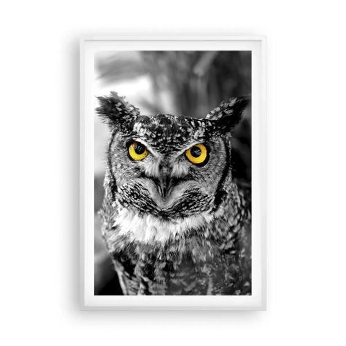 Plagát v bielom ráme - Nič sa neschová - 61x91 cm