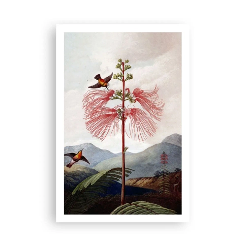 Plagát - V tropickom raji - 61x91 cm