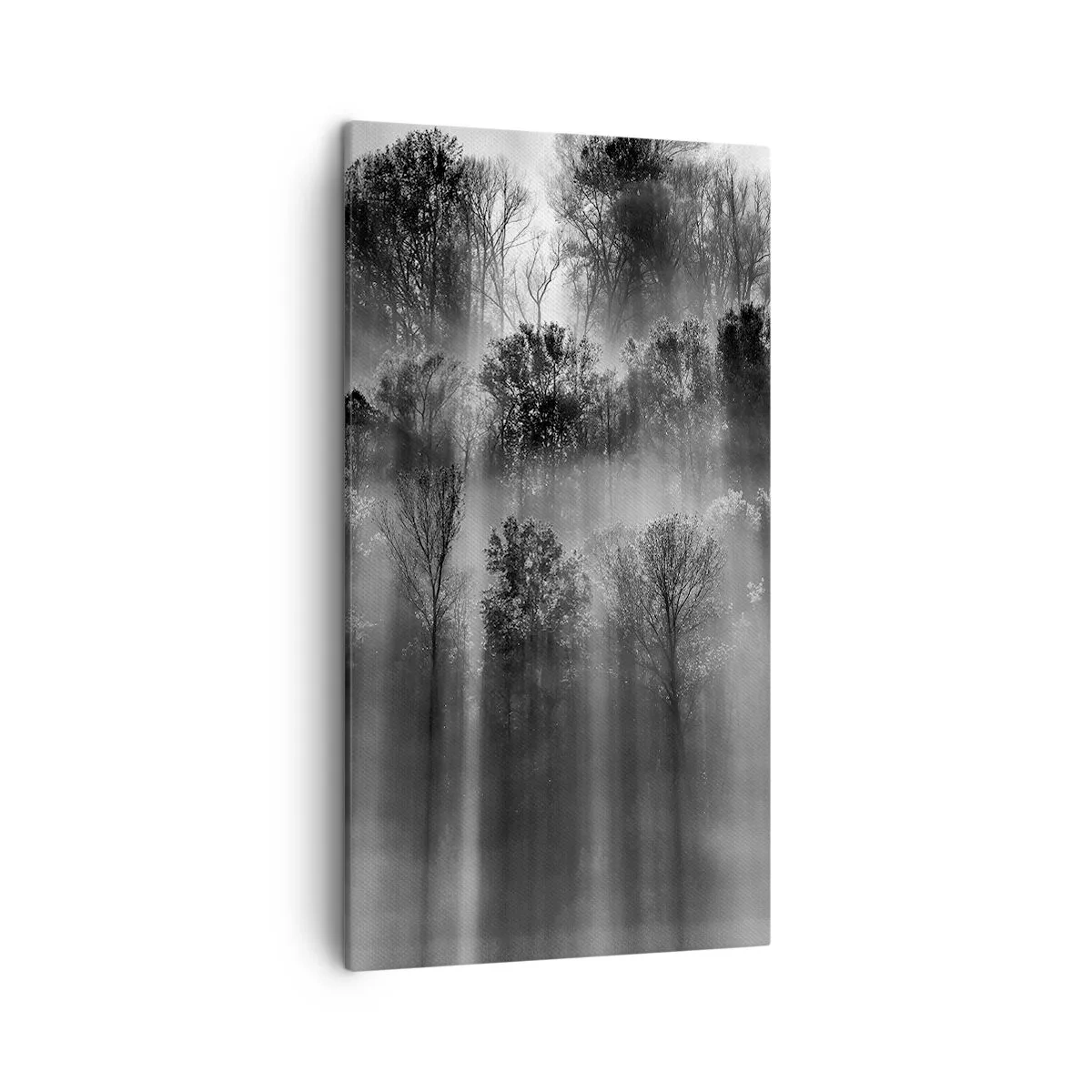 Obraz na plátne - V lúčoch svetla - 45x80 cm