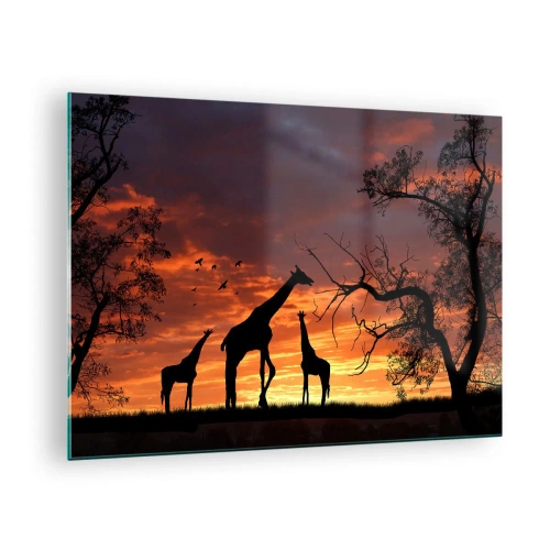 Obraz na skle - Siluety žiráf na pozadí západu slnka v africkej krajine - 70x50cm - Malá večera v kruhu najbližších - Moderná nástenná dekorácia do obývacej izby a spálne ARTTOR