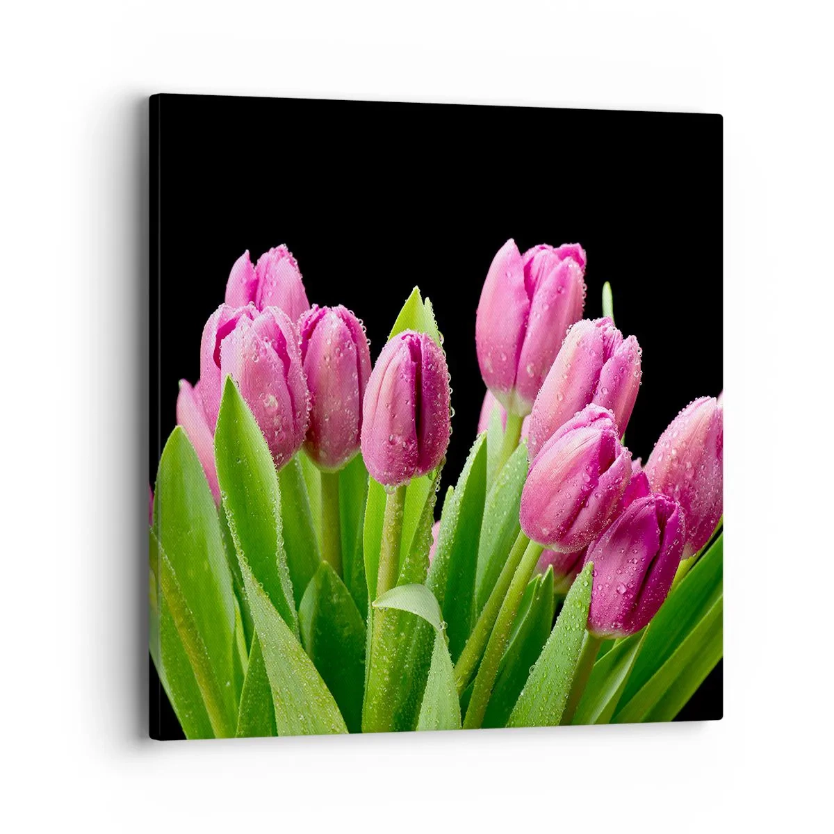 Obraz na plátne - Ľaliové potešenie jari - 40x40 cm