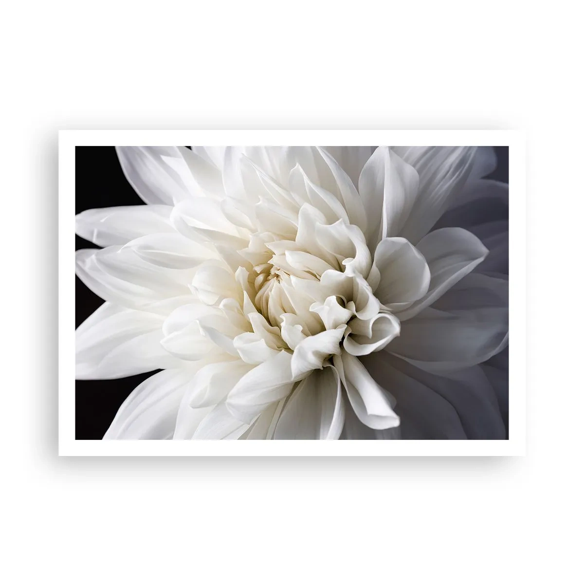 Plagát - Ráno s nevestou - 100x70 cm