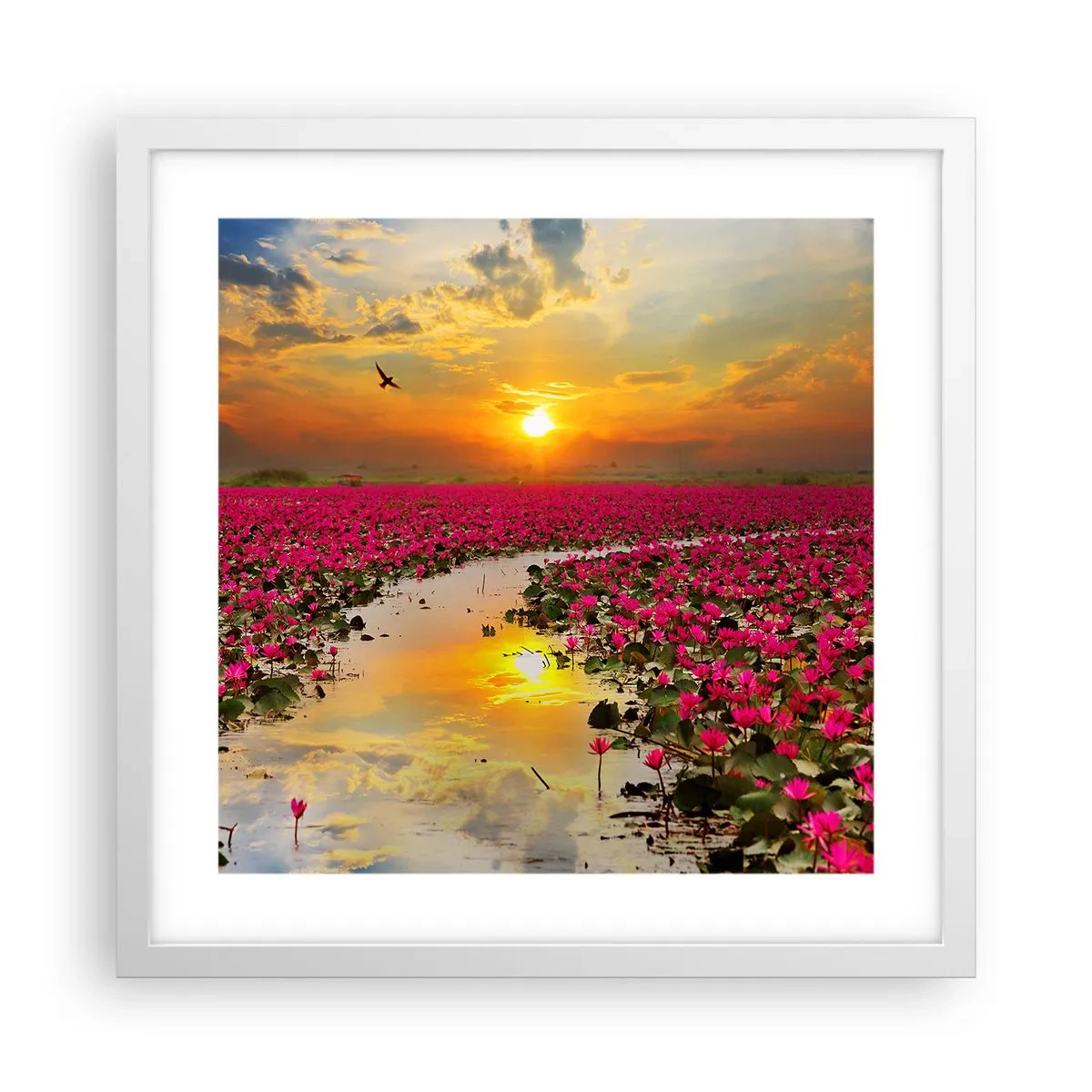 Plagát v bielom ráme - Tajomný život jazera - 40x40 cm