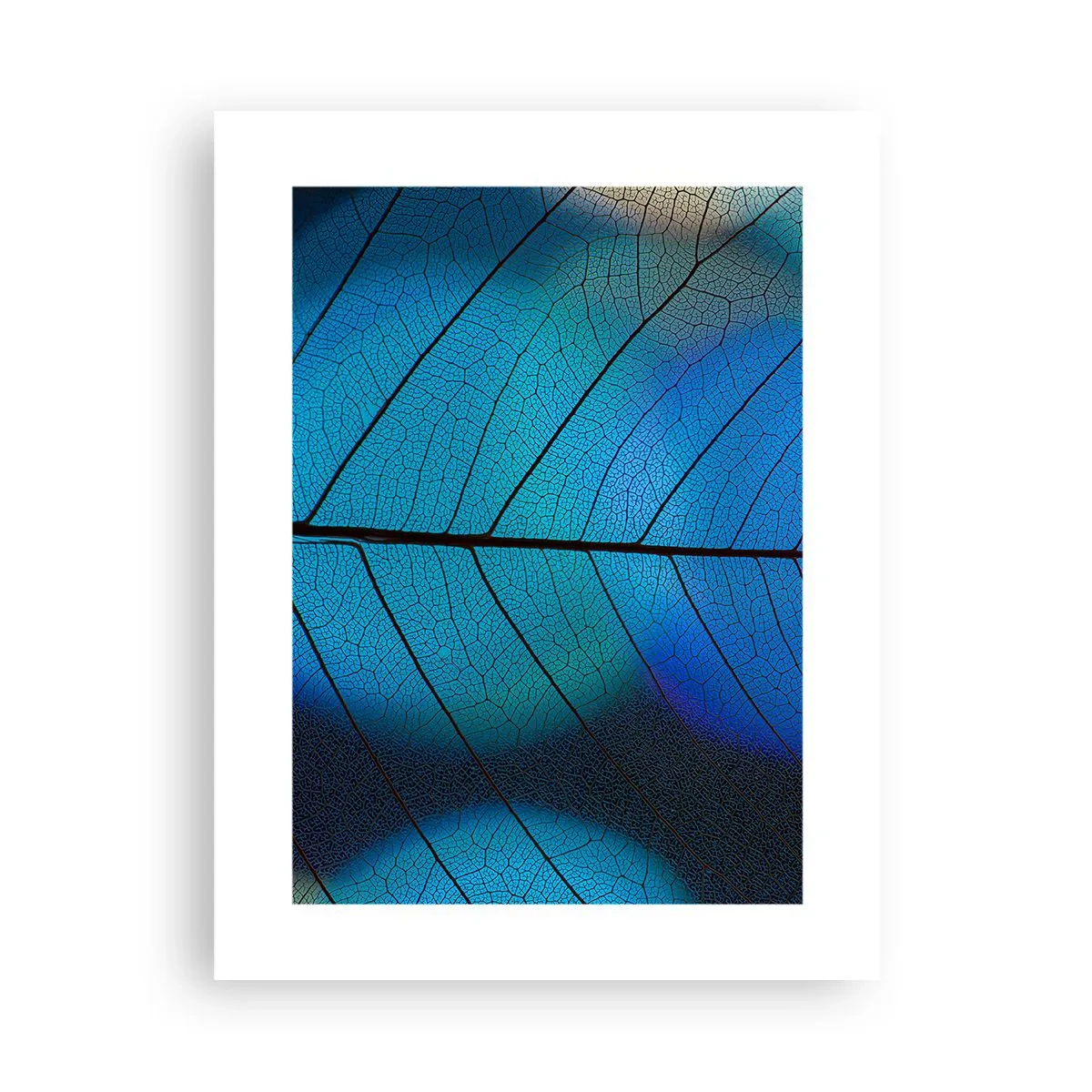 Plagát - Až do detailov - 30x40 cm