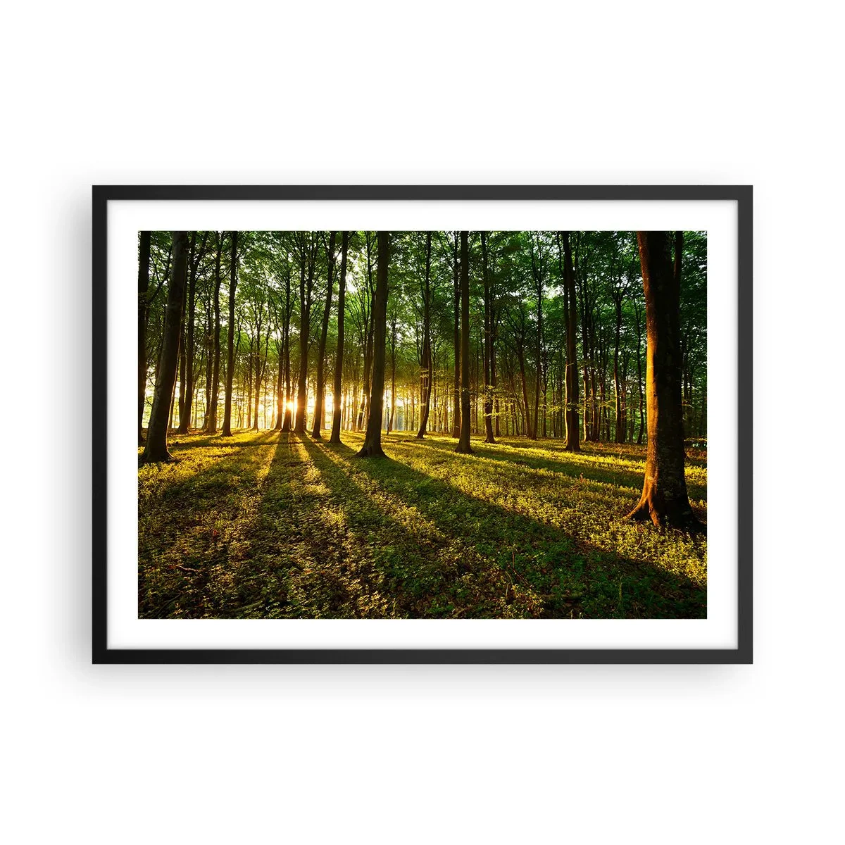 Plagát v čiernom ráme - Fotografie všetkých jarí - 70x50 cm