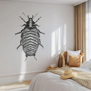 Fototapeta Premium Canvas - Vzorový exemplár! - Hmyz, Šváb, Minimalizmus - 100x70 cm