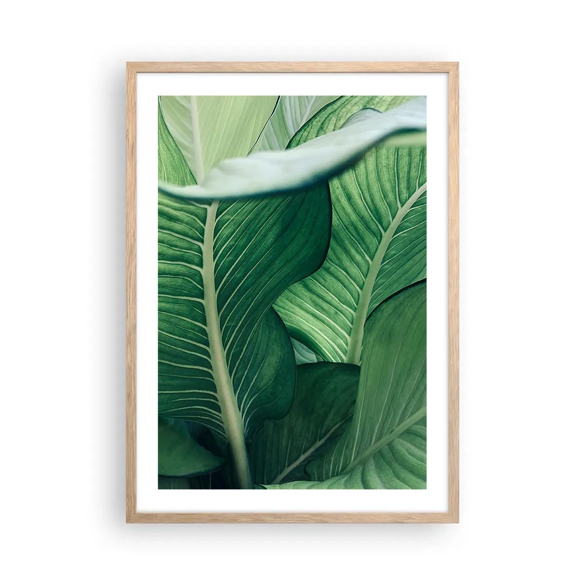 Plagát v ráme zo svetlého duba - Intenzívne zelený život - 50x70 cm