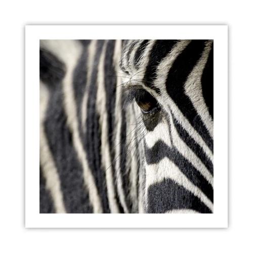 Plagát - Portrét s pruhmi - 50x50 cm