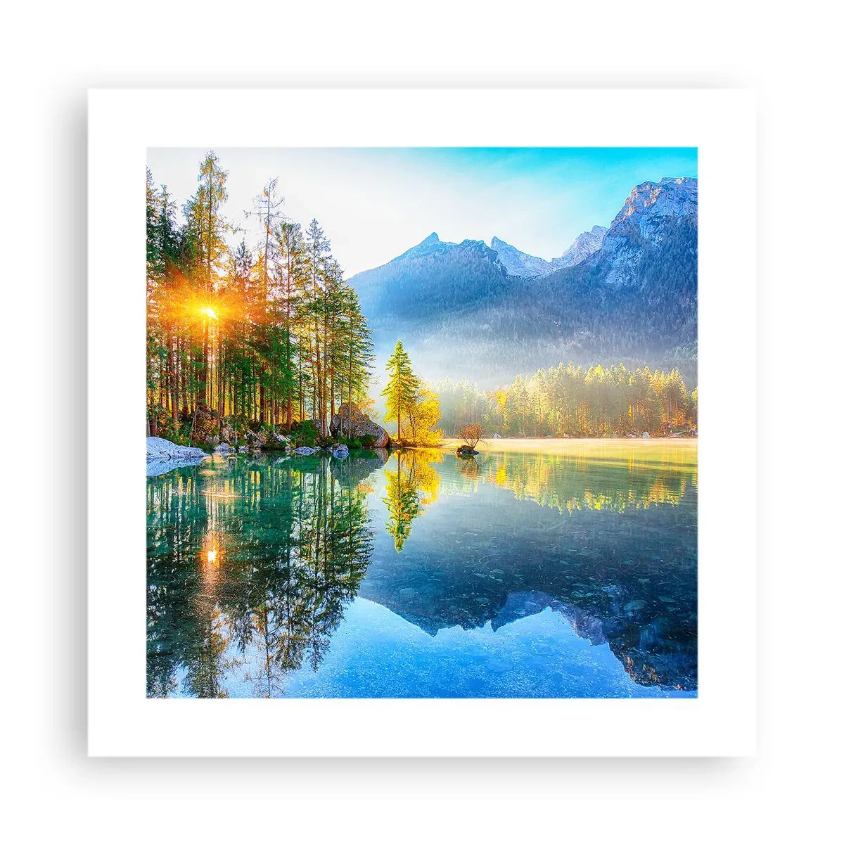 Plagát - Majestát a sladkosť - 40x40 cm