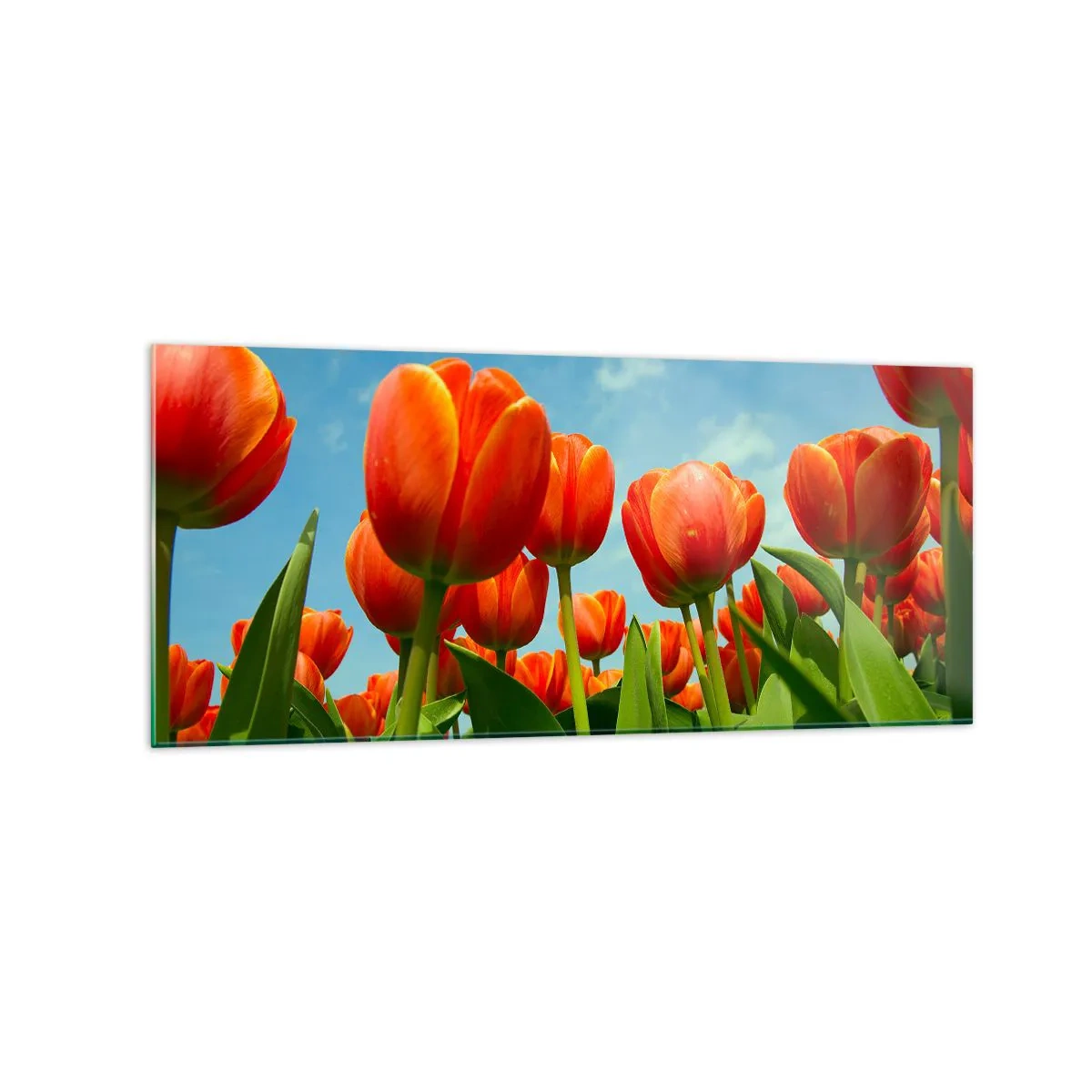 Obraz na skle - Okrem blankytného neba nič v živote nepotrebujú - 120x50 cm