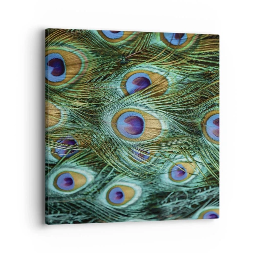 Obraz na plátne - Páví pohľad - 40x40 cm