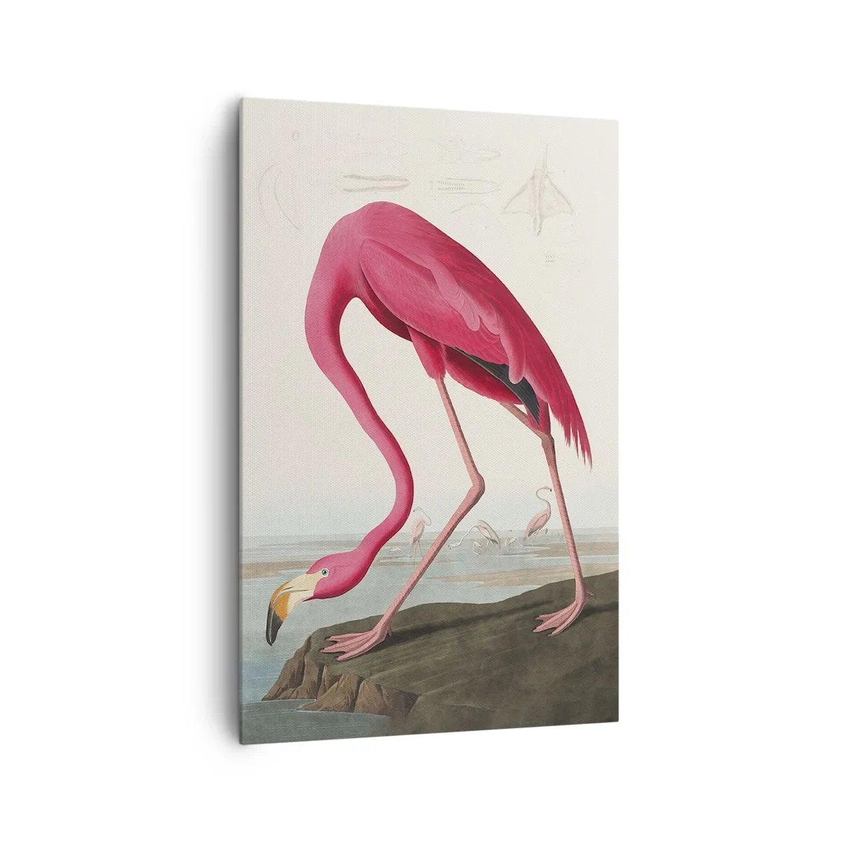 Obraz na plátne - Úžasná tvora - 80x120 cm