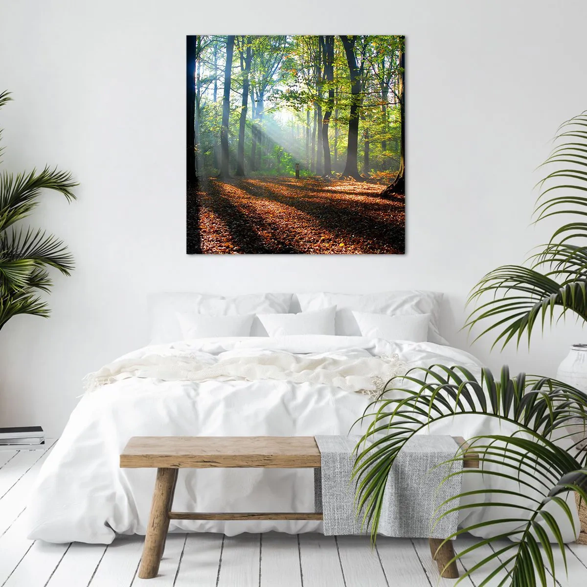 Obraz na plátne - Svetlá a tiene - 40x40 cm