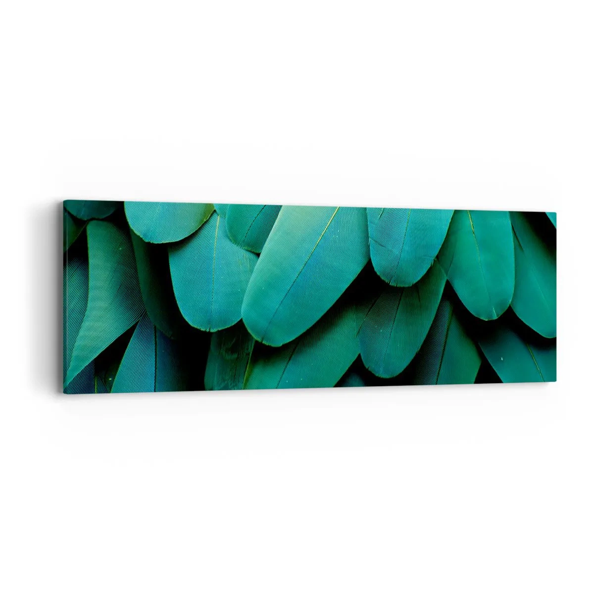 Obraz na plátne - Presnosť papagájovej povahy - 90x30 cm