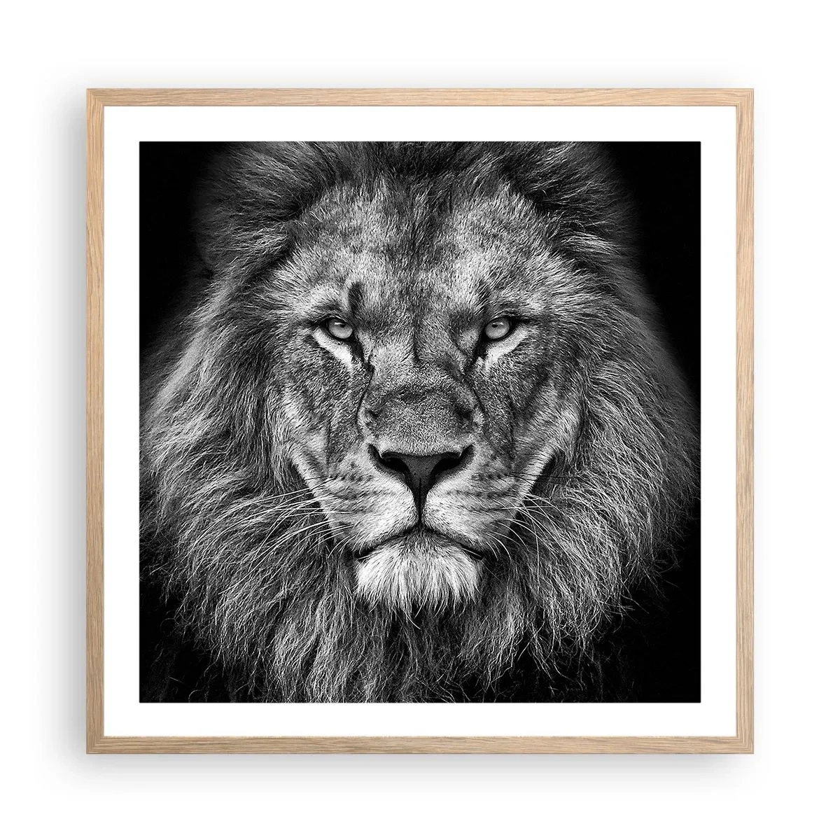 Plagát v ráme zo svetlého duba - V korunovačnom odeve - 60x60 cm