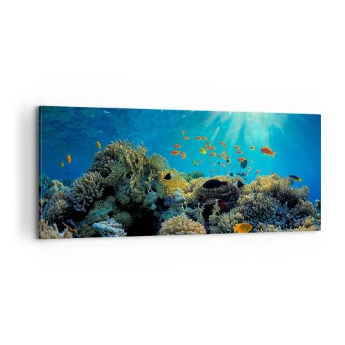 Obraz na plátne - Podvodné poklady - 100x40 cm