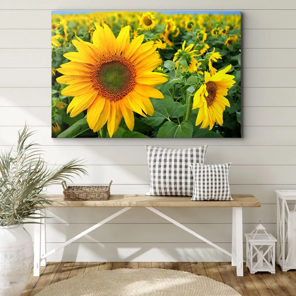 Obraz na plátne - Pole slnečníc so žltými kvetmi na pozadí zelených listov - 70x50cm - Zahoreli stovky sĺnk - Moderná nástenná dekorácia do obývacej izby a spálne ARTTOR
