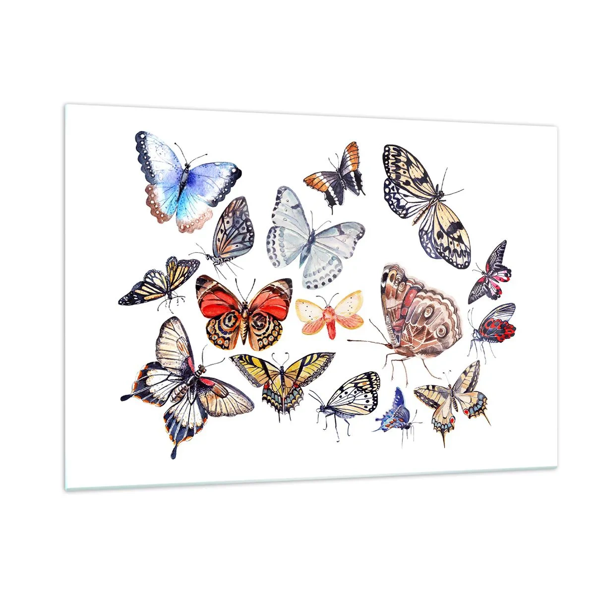 Obraz na skle - Čipkový, farebný roj - 120x80 cm