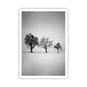 Plagát - O čom sníva? - 70x100 cm