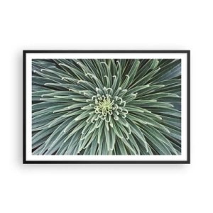 Plagát v čiernom ráme - Zrodenie hviezdy - 91x61 cm