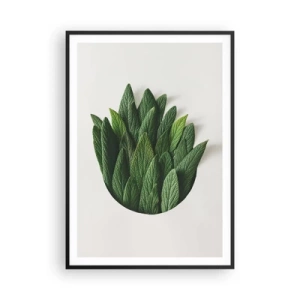 Plagát v čiernom ráme - Neukojiteľná zvedavosť - 70x100 cm