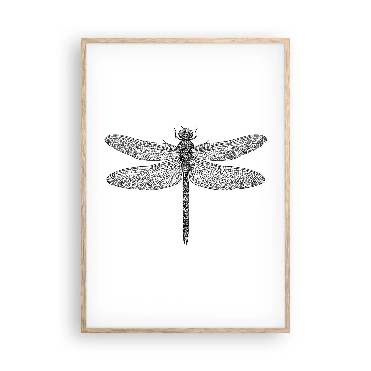 Plagát v ráme zo svetlého duba - Presnosť prírody - 70x100 cm