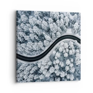 Obraz na plátne - Zimným lesom - 30x30 cm