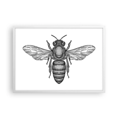 Plagát v bielom ráme - Hmyzí portrét - 70x50 cm
