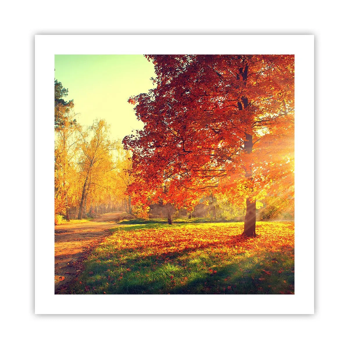 Plagát - Červené je krásne - 50x50 cm