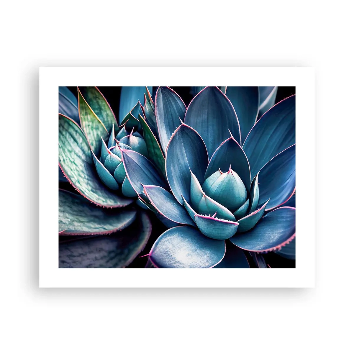 Plagát - Vitálna sila - 50x40 cm