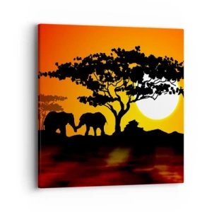 Obraz na plátne - Stretnutie na savane - 40x40 cm