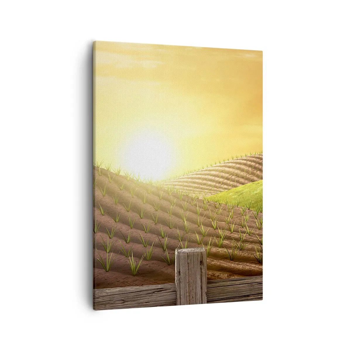 Obraz na plátne - Farma ako z rozprávky - 50x70 cm