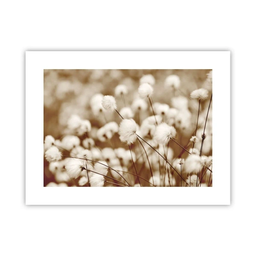 Plagát - Chlpatý lán - 40x30 cm