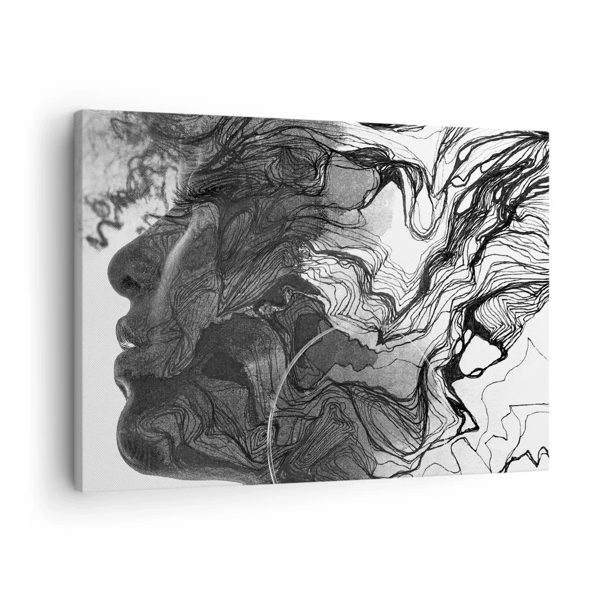 Obraz na plátne - Abstraktná tvár v čiernej a bielej farbe s dynamickými líniami. - 70x50cm - Zapletená v snoch - Moderná nástenná dekorácia do obývacej izby a spálne ARTTOR