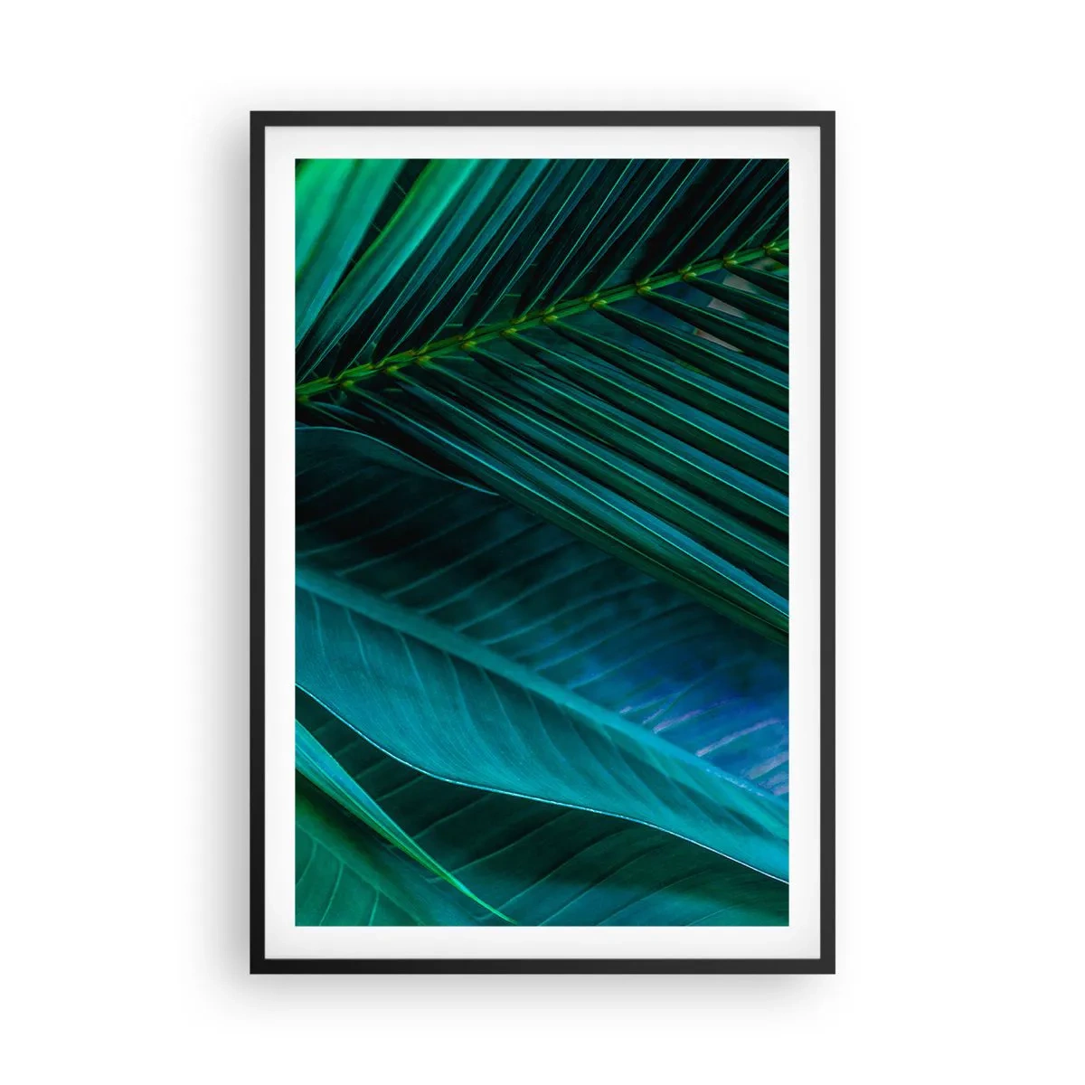 Plagát v čiernom ráme - Anatómia zelene - 61x91 cm