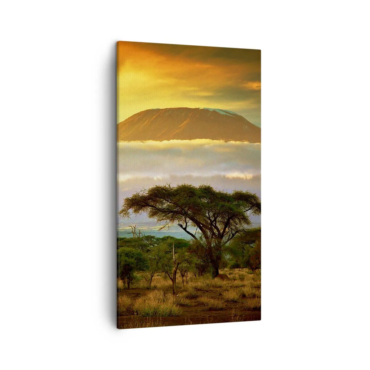 Obraz na plátne - Sen cestovateľa - 45x80 cm