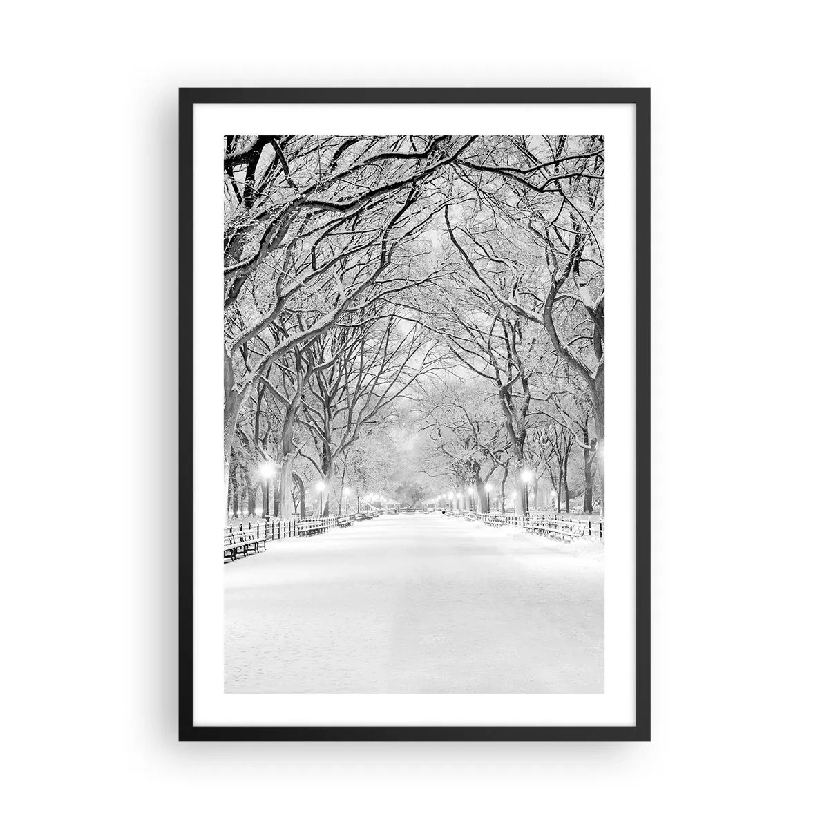 Plagát v čiernom ráme - Zimná aleja stromov pokrytá snehom v parku - 50x70cm - Štyri ročné obdobia – zima - Moderná nástenná dekorácia do obývacej izby a spálne ARTTOR