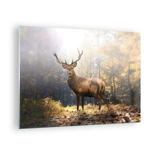 Obraz na skle - Majestátny jeleň v slnečnom jesennom lese - 70x50cm - Plné dôstojnosti - Moderná nástenná dekorácia do obývacej izby a spálne ARTTOR