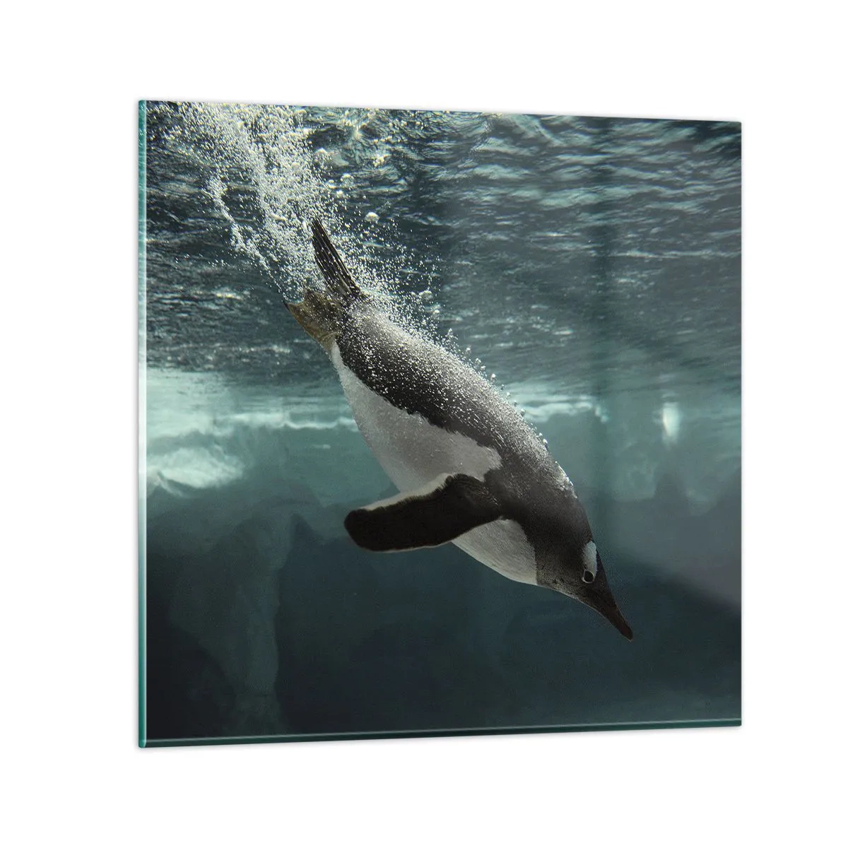 Obraz na skle - Vitajte v mojom svete - 70x70 cm