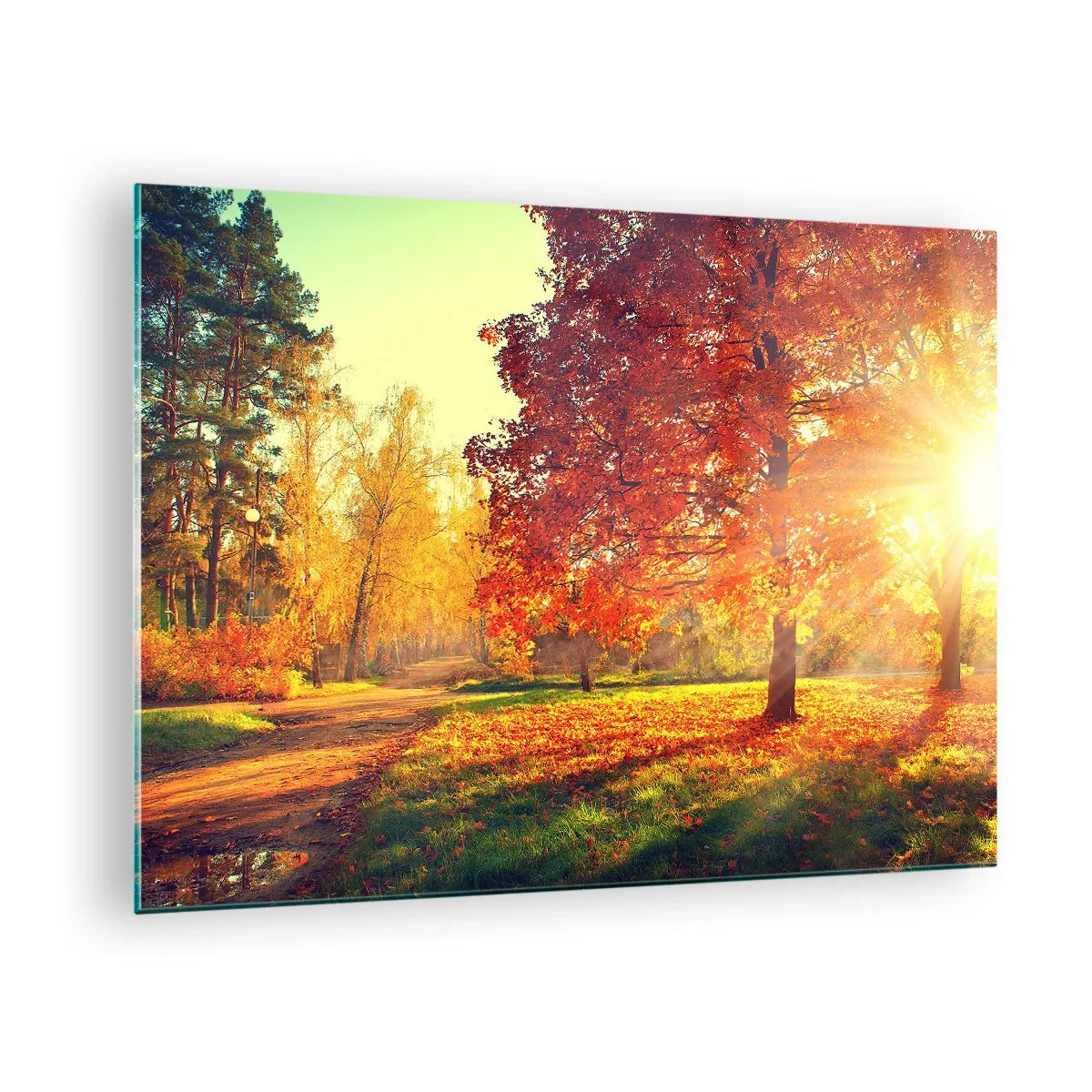 Obraz na skle - Jesenná ulička so slnečnými lúčmi - 70x50cm - Červené je krásne - Moderná nástenná dekorácia do obývacej izby a spálne ARTTOR