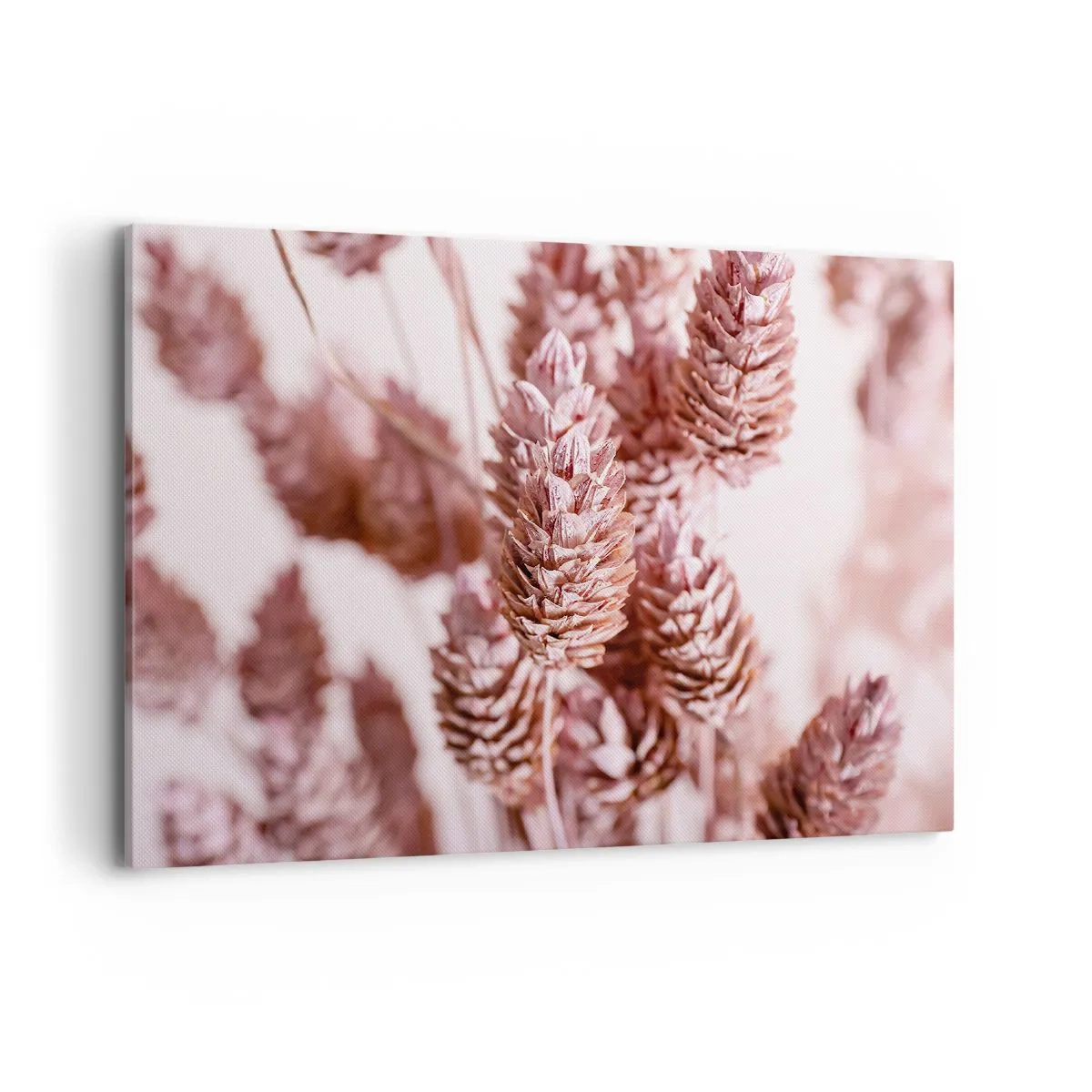 Obraz na plátne - Zdanlivo nenápadné - 100x70 cm