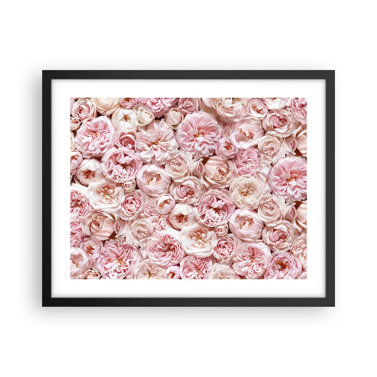 Plagát v čiernom ráme - Vydláždená ružami - 50x40 cm