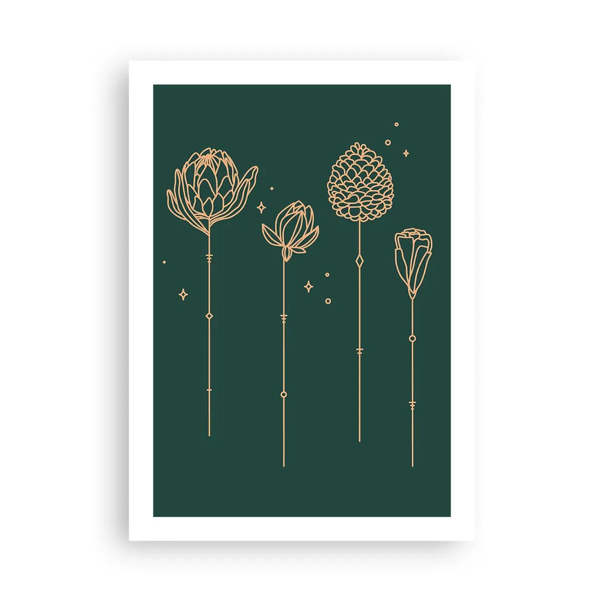 Plagát - Bylinky - 50x70 cm