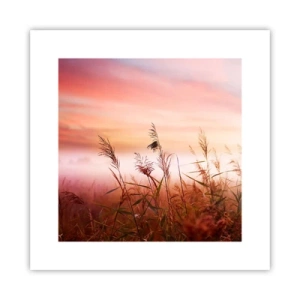 Plagát - Draci, púpavy a vietor - 30x30 cm