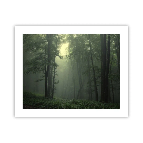 Plagát - Než sa prebudí - 50x40 cm