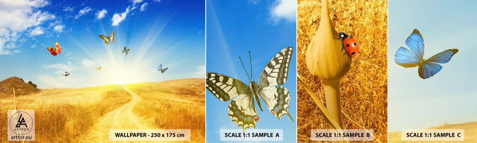 Vzorka Fototapeta Standard Eco - Ako nemilovať leto? - Krajina, Motýle, Príroda - 100x30 cm