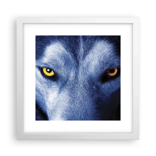 Plagát v bielom ráme - Fascinujúci pohľad - 30x30 cm