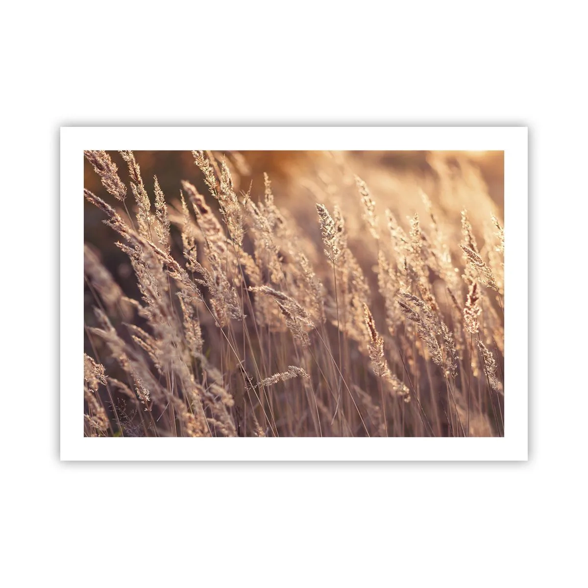 Plagát - Pripravení privítať jeseň - 70x50 cm