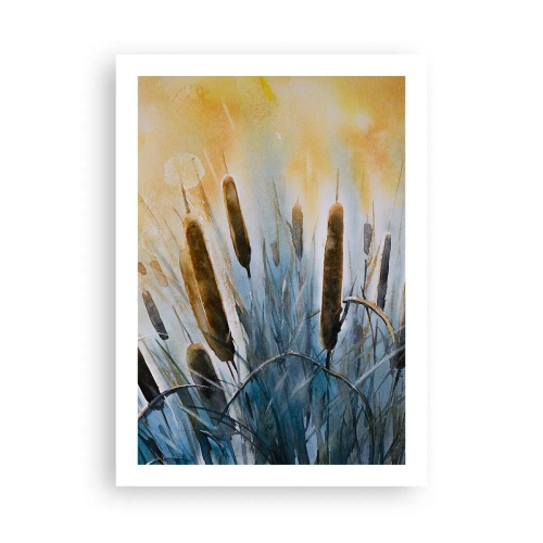 Plagát - Chlad vody, žiara slnka - 50x70 cm