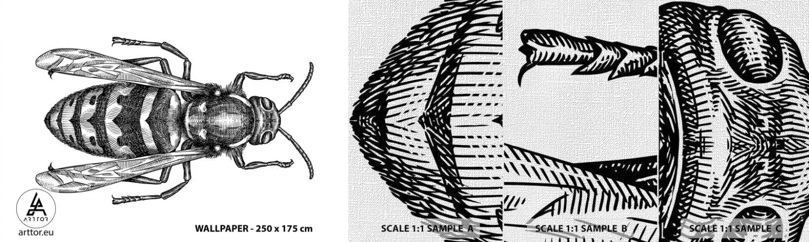 Vzorka fototapety Premium Canvas - Z hmyzej planéty - Osa, Hmyz, Minimalistický - 100x30 cm